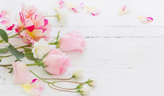 婚姻最深度的十句话,婚姻本质十句话