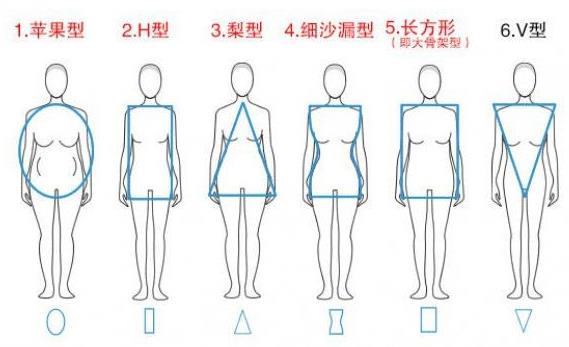 女人体型有几种，女人体型有几种类型