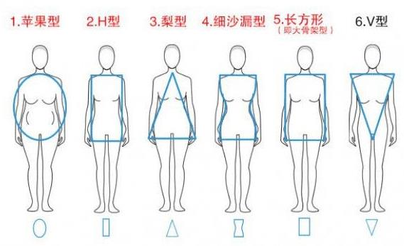 女人体型有几种,女人体型有几种类型