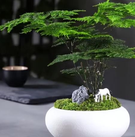 解决尬聊的3种方法,如何摆脱尴尬的相处