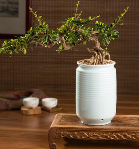 解决尬聊的3种方法,如何摆脱尴尬的相处