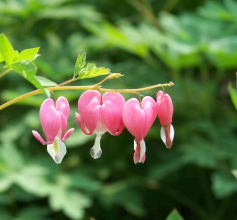 老实内向的人相亲该怎么找话题