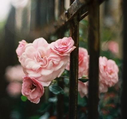 老实内向的人相亲该怎么找话题