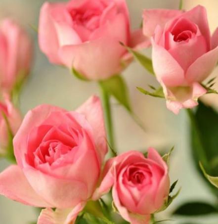 第一次恋爱女生心理,第一次和女生谈恋爱心理