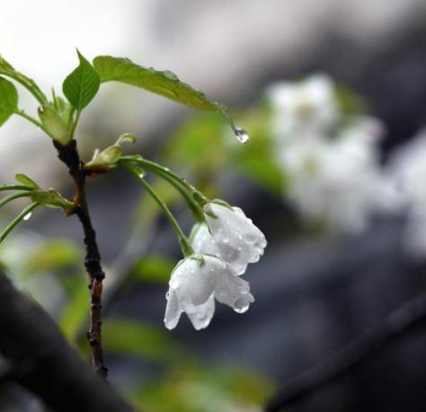 二婚男友很急于同居是真爱吗