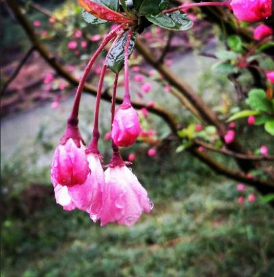 二婚男友很急于同居是真爱吗