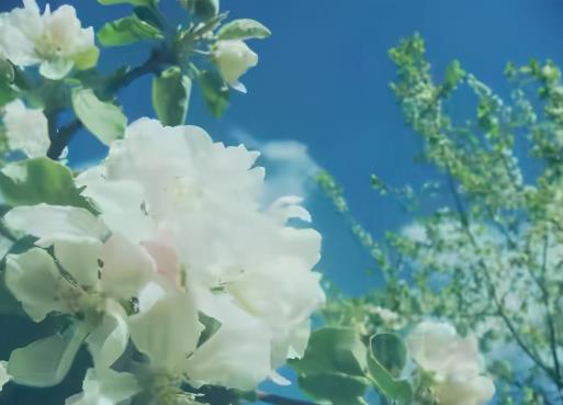 人到中年怎么打破婚姻危机的局面