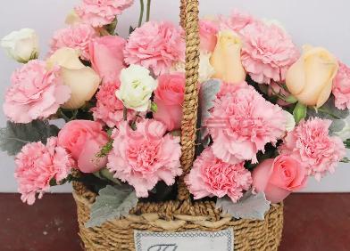 异性送康乃馨什么意思,康乃馨适合送给什么样的人