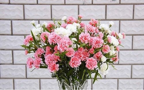 异性送康乃馨什么意思,康乃馨适合送给什么样的人