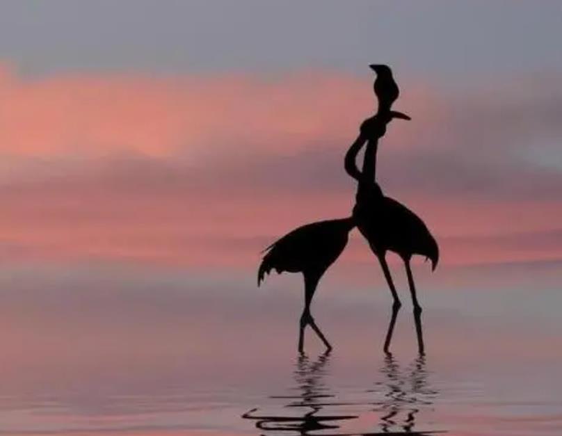 薄情薄凉的人为什么越过越好