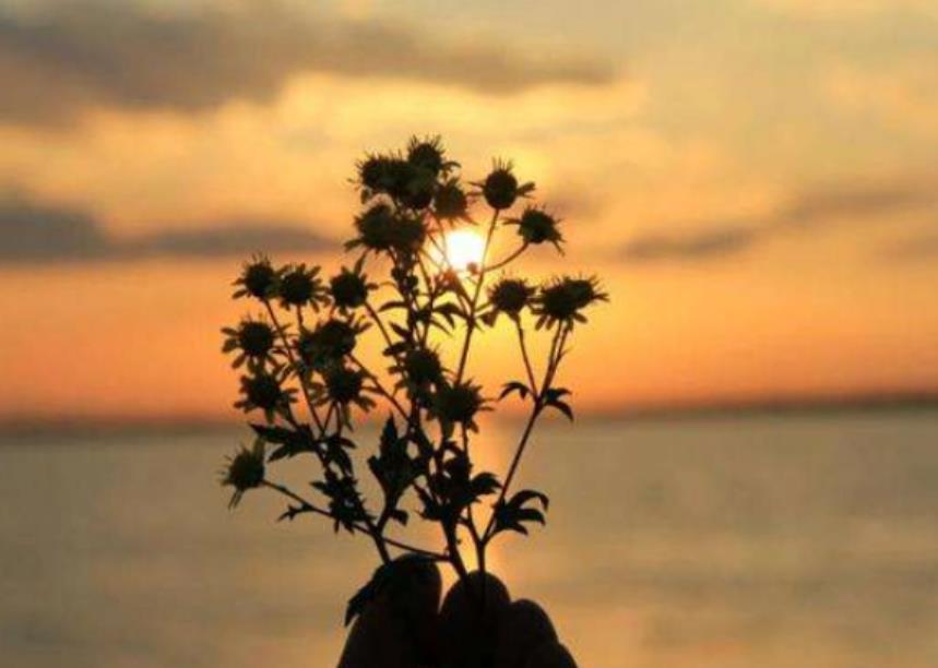 和五十岁的阿姨聊什么,和50岁阿姨聊什么话题