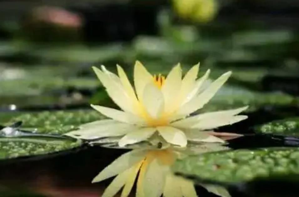 如何做一个无为之人,五十岁的人为什么要无为而做