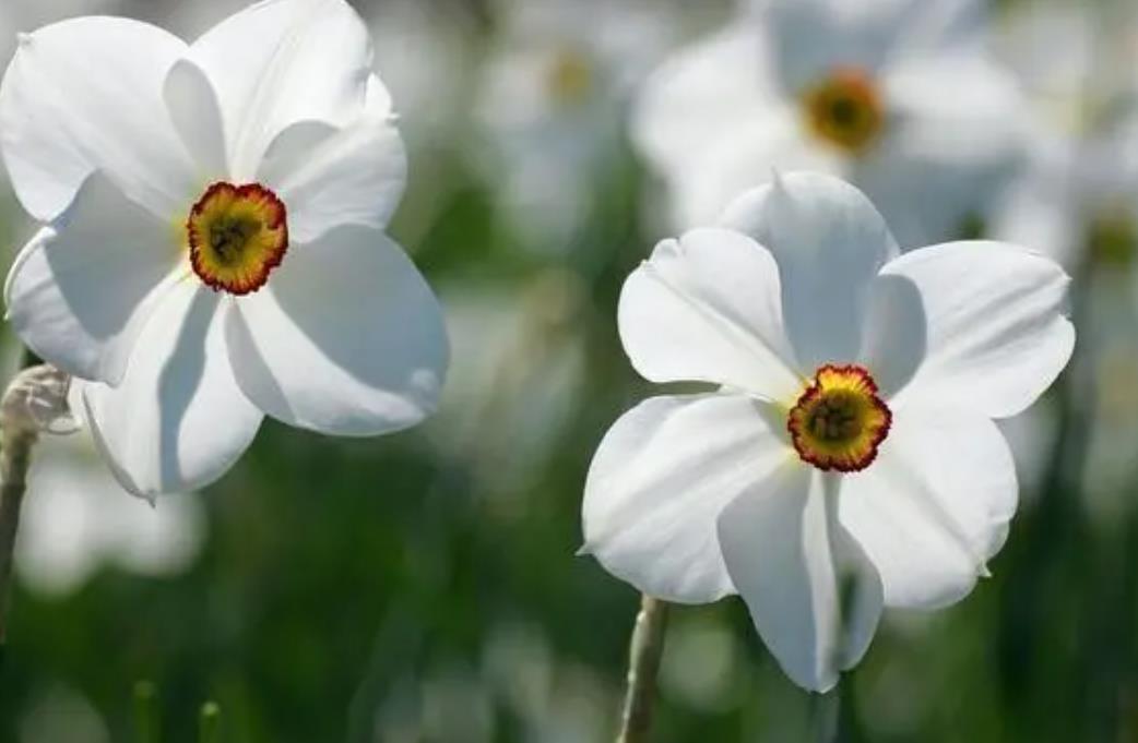 如何做一个无为之人,五十岁的人为什么要无为而做