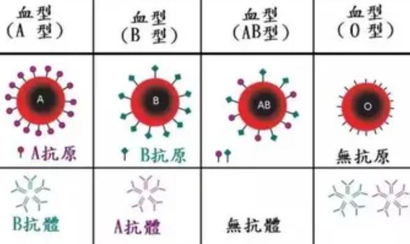蚊子喜欢什么血型，o型血最吸引蚊子吗