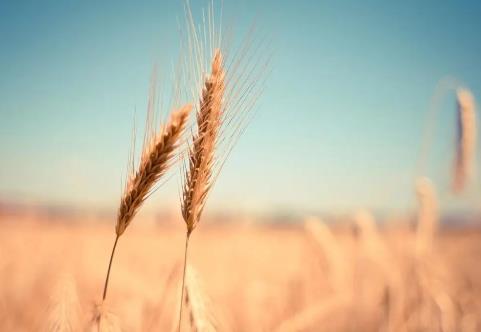 和中年男人恋爱有这三个原则需要注意