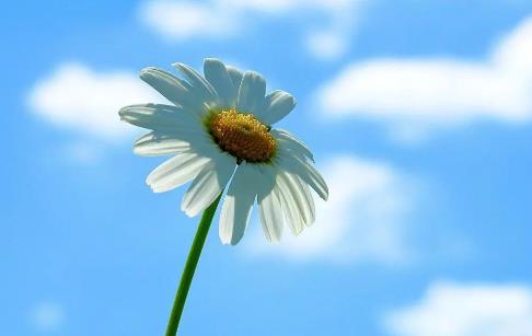 和中年男人恋爱有这三个原则需要注意