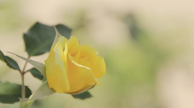 夫妻想要白头偕老要注意什么细节