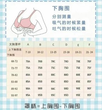 各种胸型大小对照表,胸型标准尺寸对照表