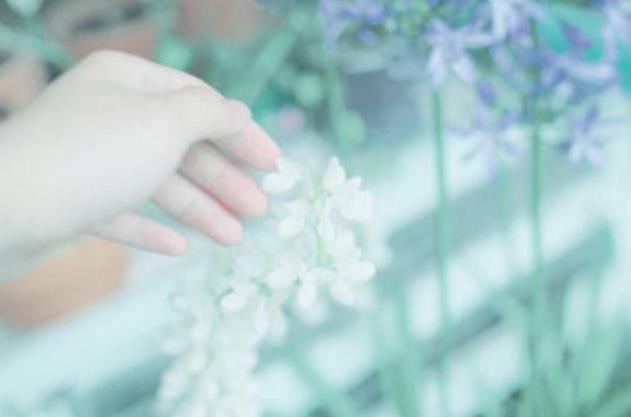 50岁的女人对待感情的心态，中年女人对待感情是什么心态