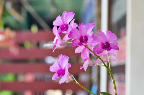 50岁的男人这四件事情不要再做了