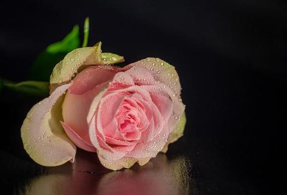 最能勾住50多岁男人心的情话，最暖心撩中年男人的情话