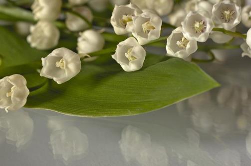 最能勾住50多岁男人心的情话，最暖心撩中年男人的情话