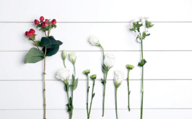 情人之间不要逾越的原则，情人之间需遵守的4大原则