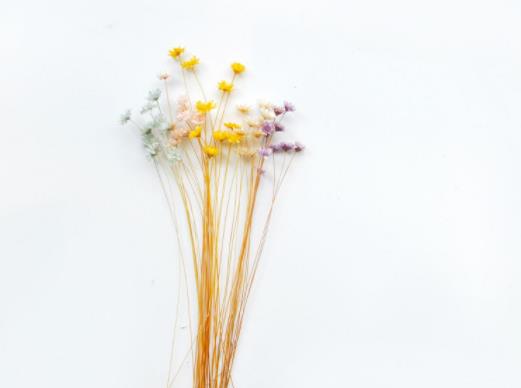 情人之间不要逾越的原则，情人之间需遵守的4大原则