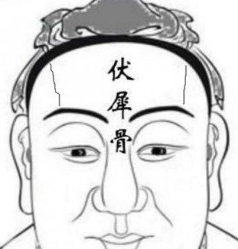伏羲骨面相图片图解，伏羲骨的准确位置图