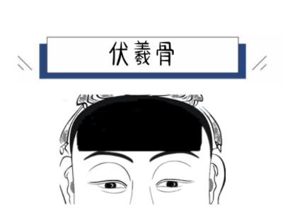 伏羲骨面相图片图解