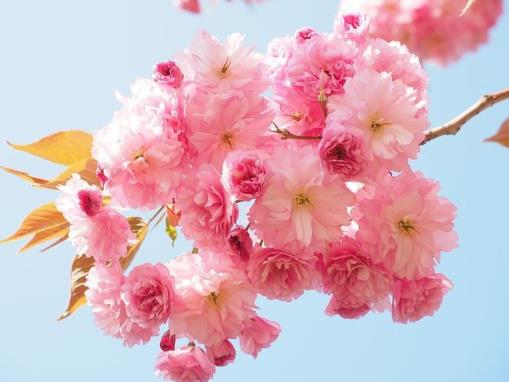 怎么报答一个人最好，学会这3种方式报答最好