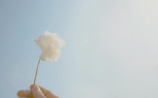 中年女性必须满足的三样东西