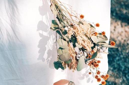 中年女性必须满足的三样东西