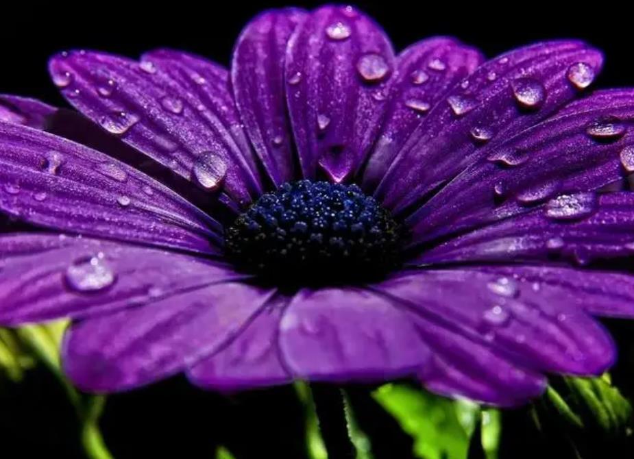 有过隔阂的婆媳还能相处得好吗，婆媳矛盾影响到夫妻关系如何改善