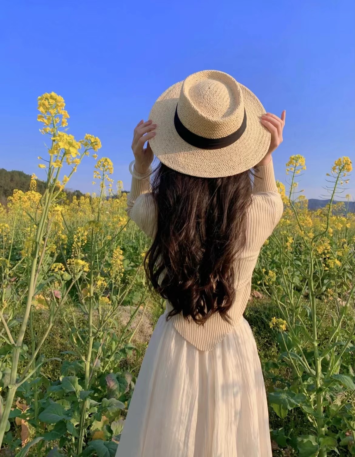 油菜花图片风景,油菜花田女生背影图片