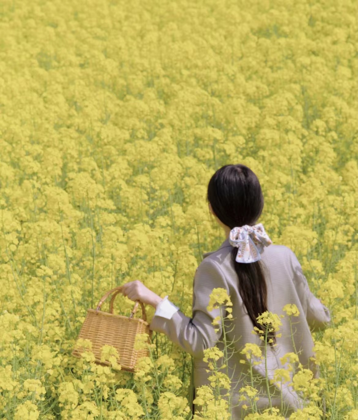 油菜花图片风景,油菜花田女生背影图片