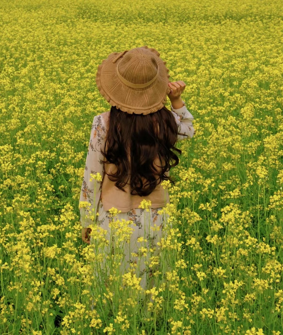 油菜花图片风景,油菜花田女生背影图片