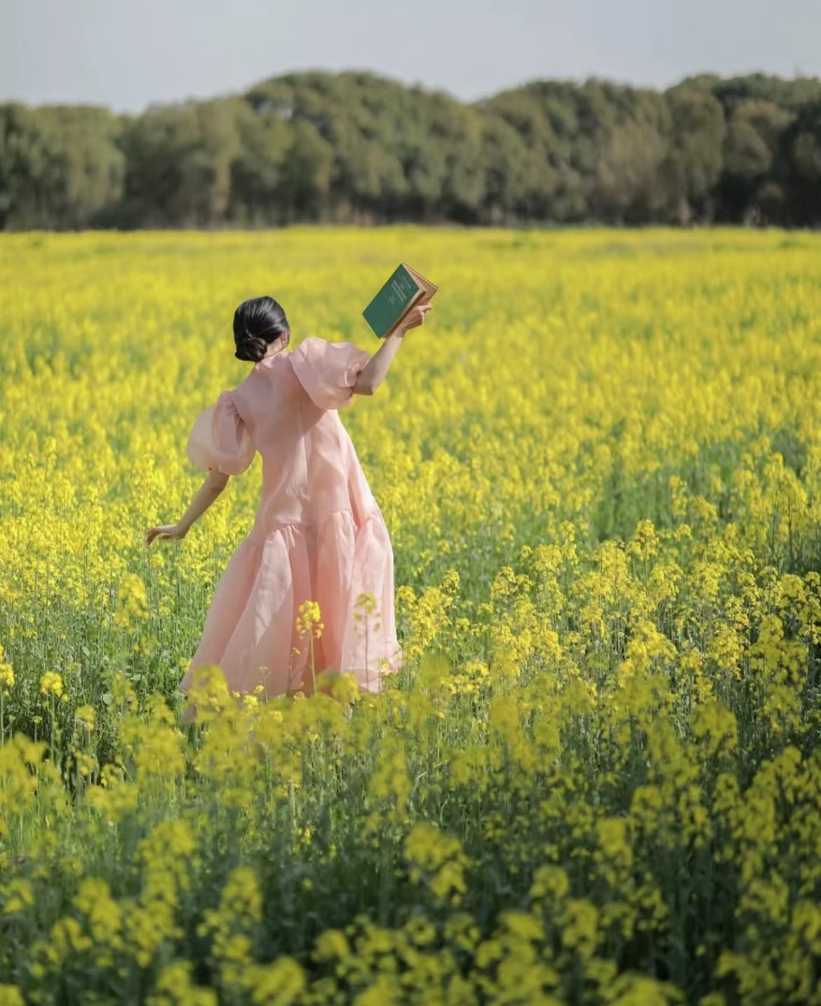油菜花图片风景,油菜花田女生背影图片