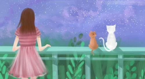 中年女人再婚找哪种男人比较好,40岁女人再婚选什么男人好