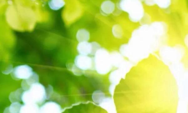 老公不顾你的感受怎么办,老公只心疼父母不顾我的感受怎么办