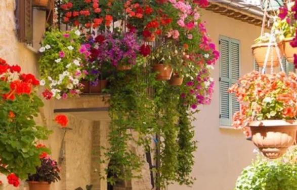 老公不顾你的感受怎么办,老公只心疼父母不顾我的感受怎么办