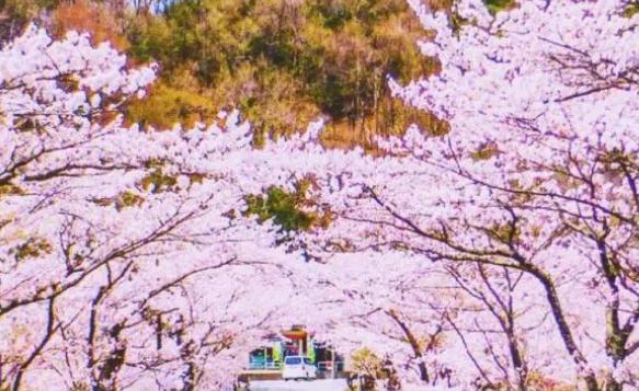 老公不顾你的感受怎么办,老公只心疼父母不顾我的感受怎么办