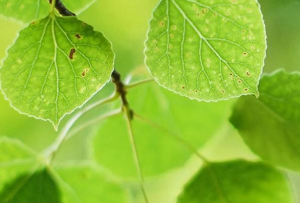 老公不顾你的感受怎么办,老公只心疼父母不顾我的感受怎么办