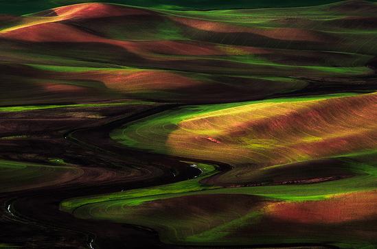 女人同男人交往不花他钱的心理,情侣不花对方钱有什么心理