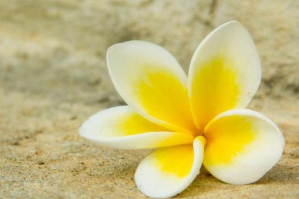 微信头像判断女人人品,用自己头像做微信头像的女人代表什么