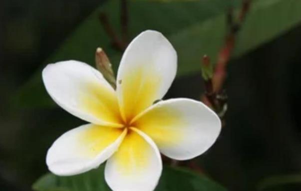 微信头像判断女人人品,用自己头像做微信头像的女人代表什么