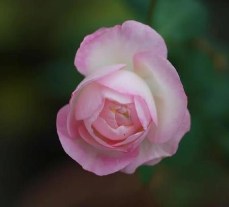 女人为啥在35-40容易出事,为什么女人到中年容易遇见坎坷