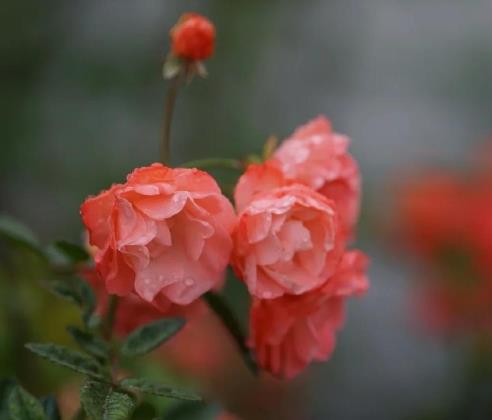 女人为啥在35-40容易出事,为什么女人到中年容易遇见坎坷