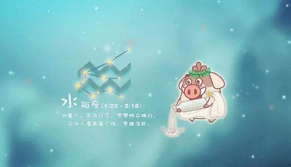 超有夫妻缘的4对星座配对,星座配对对于感情有好处吗