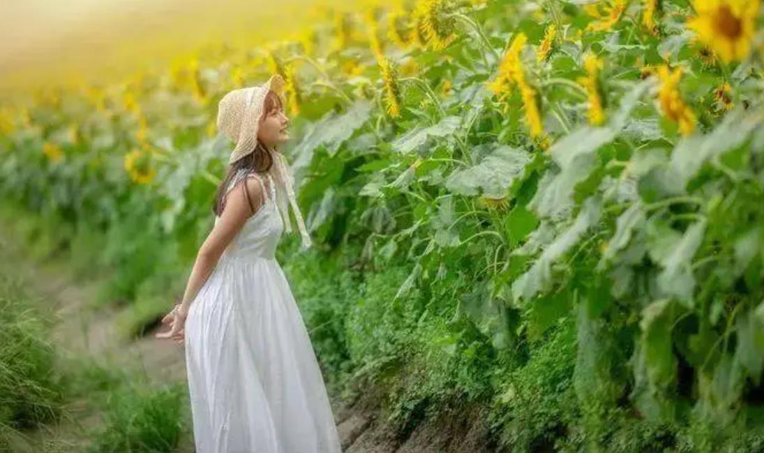 心态是一种选择什么意思,积极的心态好还是消极的心态好